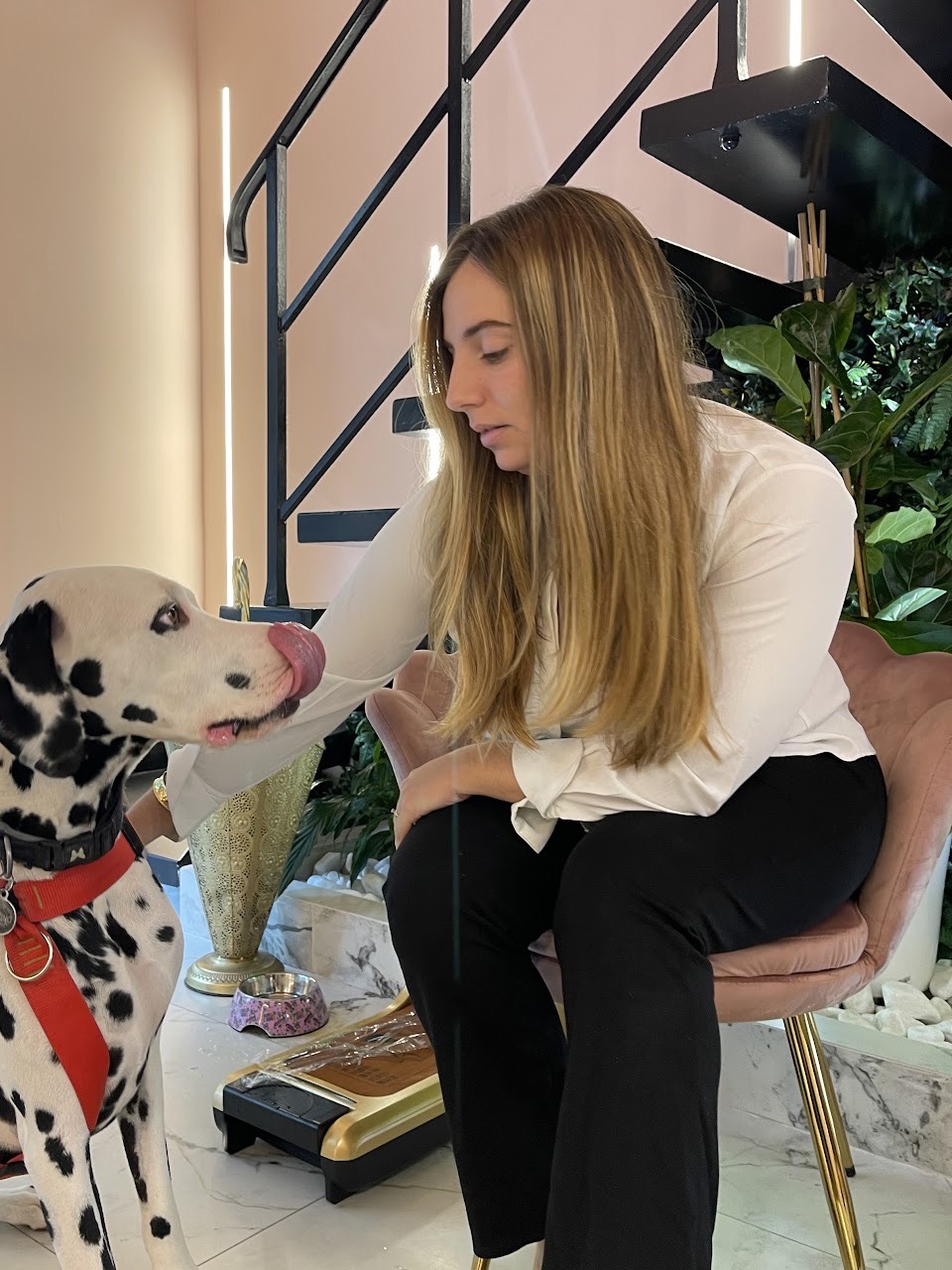 Foto de client compartida amb la ressenya de Google de Sofia Gijon Calvo